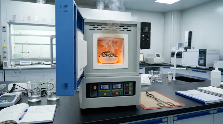 ¿Por qué se utiliza un horno mufla de vacío para realizar el análisis próximo? Evaluación precisa de biomasa y análisis de reactividad