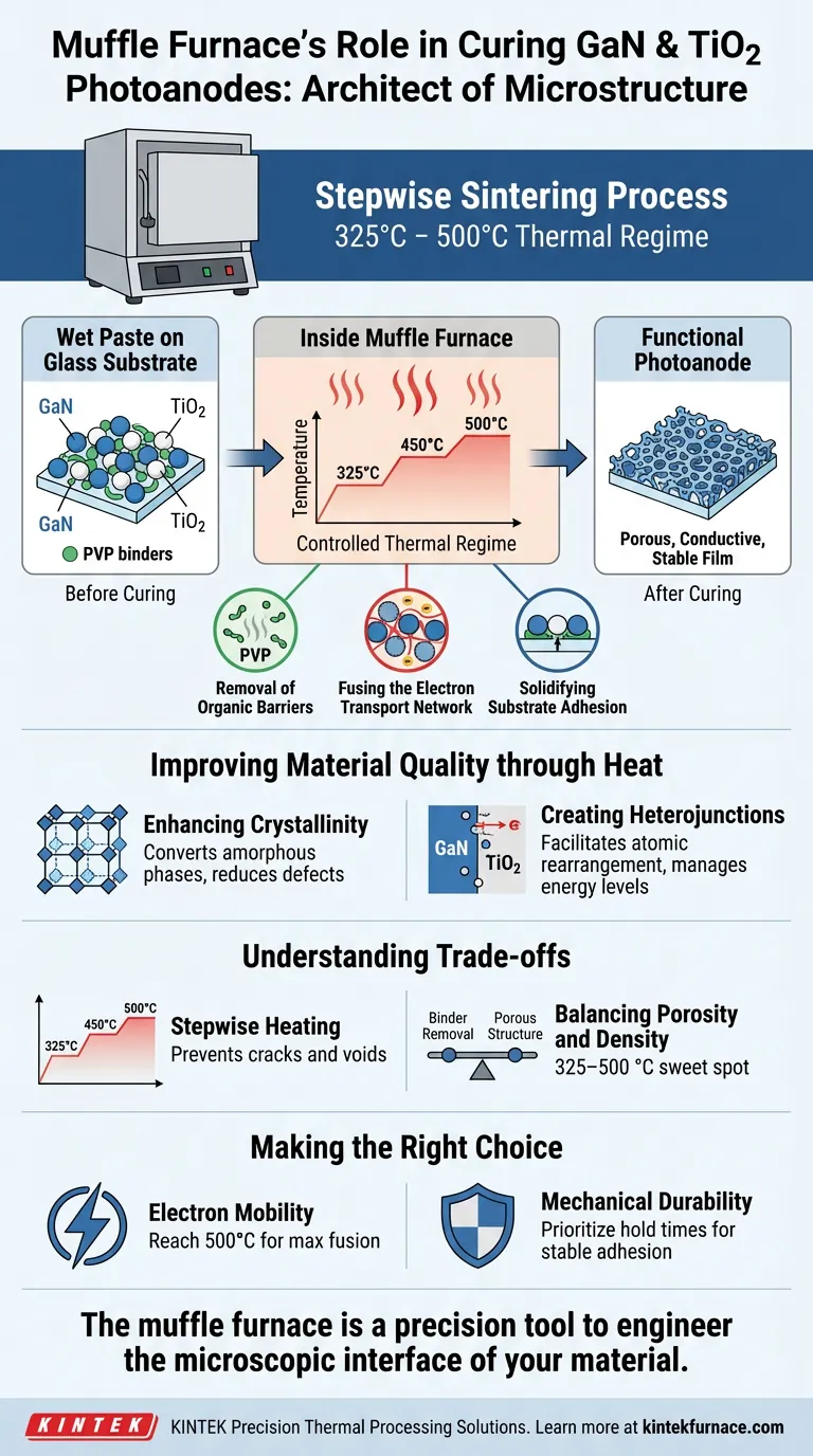 在GaN和TiO2的固化过程中，马弗炉扮演着什么角色？优化您的光阳极烧结 图解指南