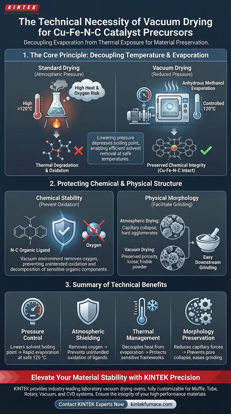 在 Cu-Fe-N-C 催化剂前驱体制备中使用实验室真空干燥箱的必要性是什么？ 图解指南