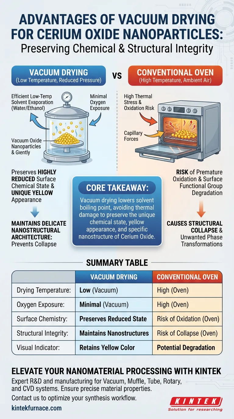 Quais são as vantagens de usar um secador a vácuo para nanopartículas de óxido de cério? Preserva a Integridade e Previne a Oxidação Guia Visual