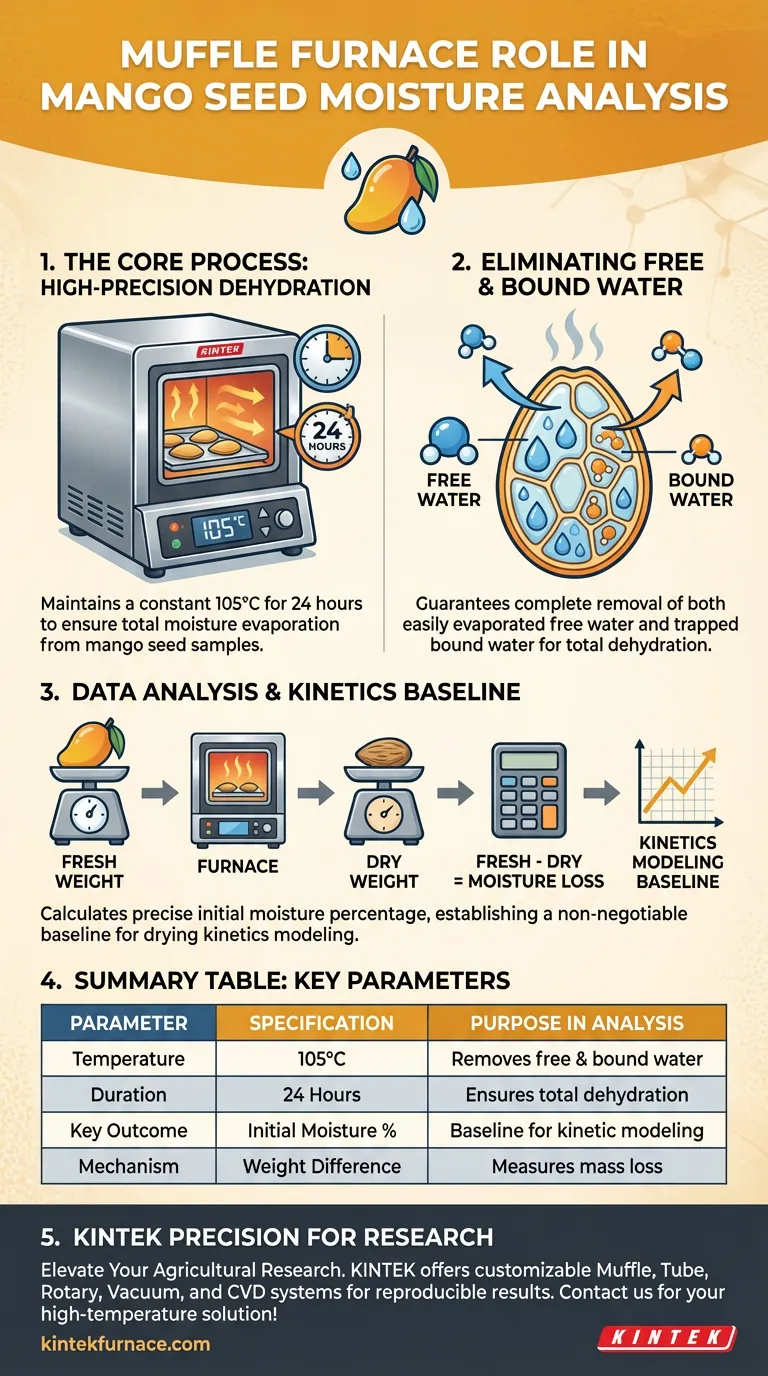 망고 씨앗 수분 분석에서 머플로 퍼니스의 역할은 무엇인가요? 건조 동역학의 정확한 기준선 확보 시각적 가이드