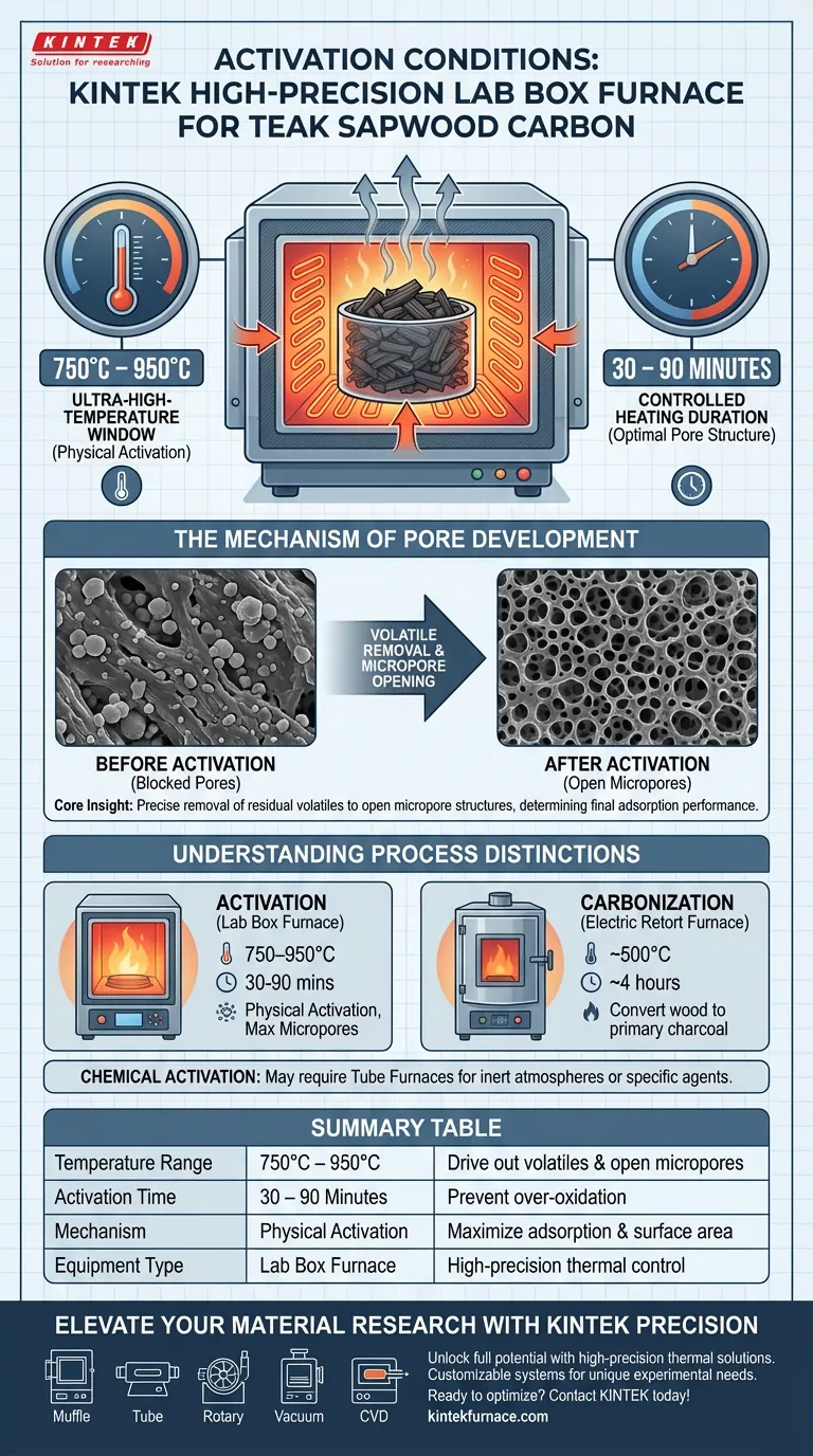 Quais condições específicas de ativação são fornecidas por um forno de caixa de laboratório de alta precisão? Otimizar o Carbono de Teca Guia Visual