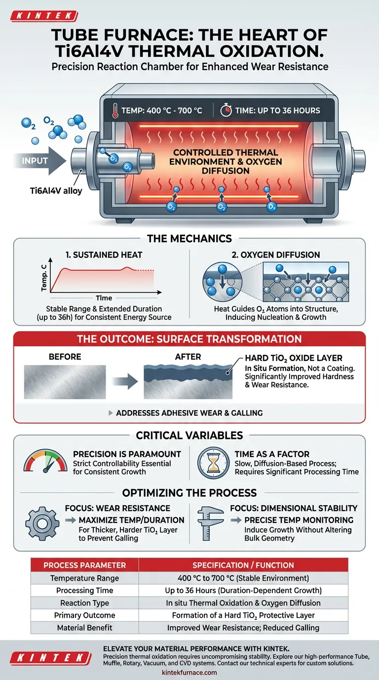 ¿Cuál es la función de un Horno de Tubo en la oxidación térmica de la aleación Ti6Al4V? Mejorar la dureza y la resistencia al desgaste Guía Visual
