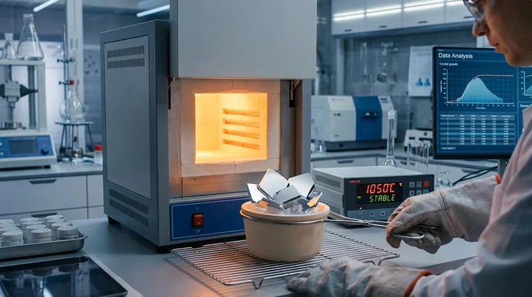 ¿Cómo afecta la precisión del control de temperatura a la morfología de los cristales de SC-NMNO? Domina los campos térmicos para obtener granos de alta calidad