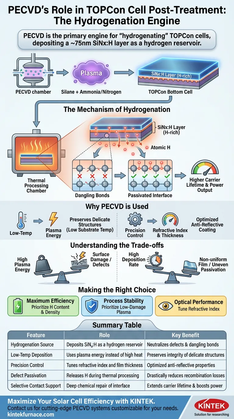 PECVD设备如何为TOPCon电池底部提供支持？掌握氢化技术以实现最大的太阳能效率 图解指南