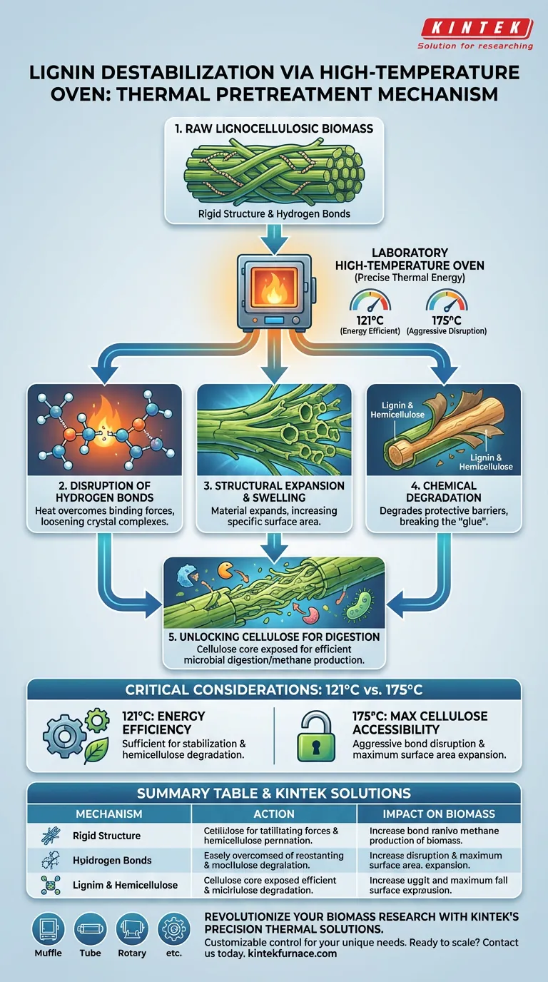 ¿Cómo facilita un horno de laboratorio de alta temperatura la desestabilización de la lignina? Optimizar el pretratamiento de la biomasa Guía Visual