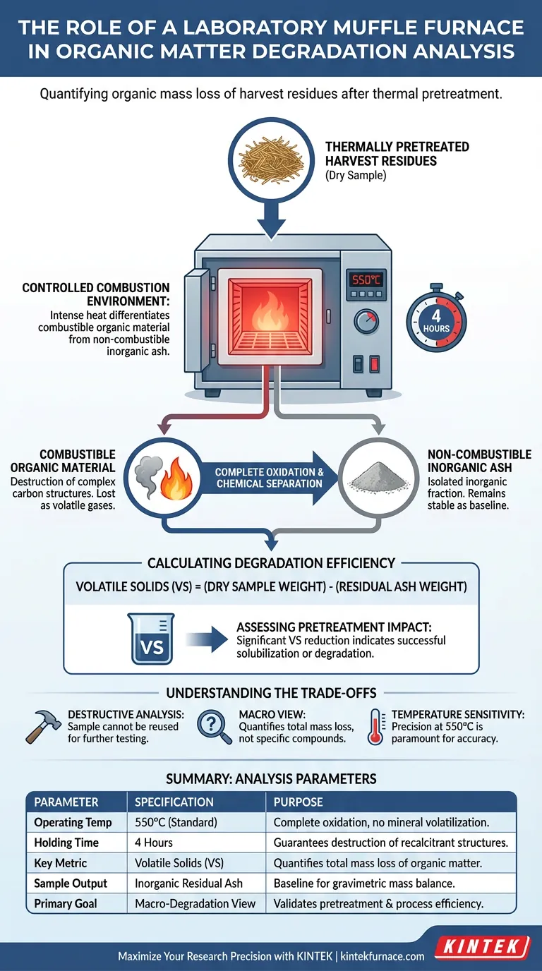 实验室马弗炉在分析有机物降解中起什么作用？优化生物质预处理 图解指南