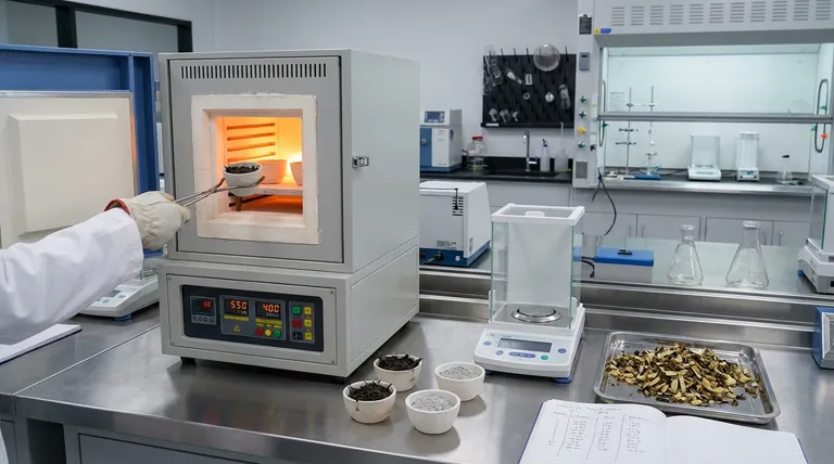 实验室马弗炉在分析有机物降解中起什么作用?优化生物质预处理