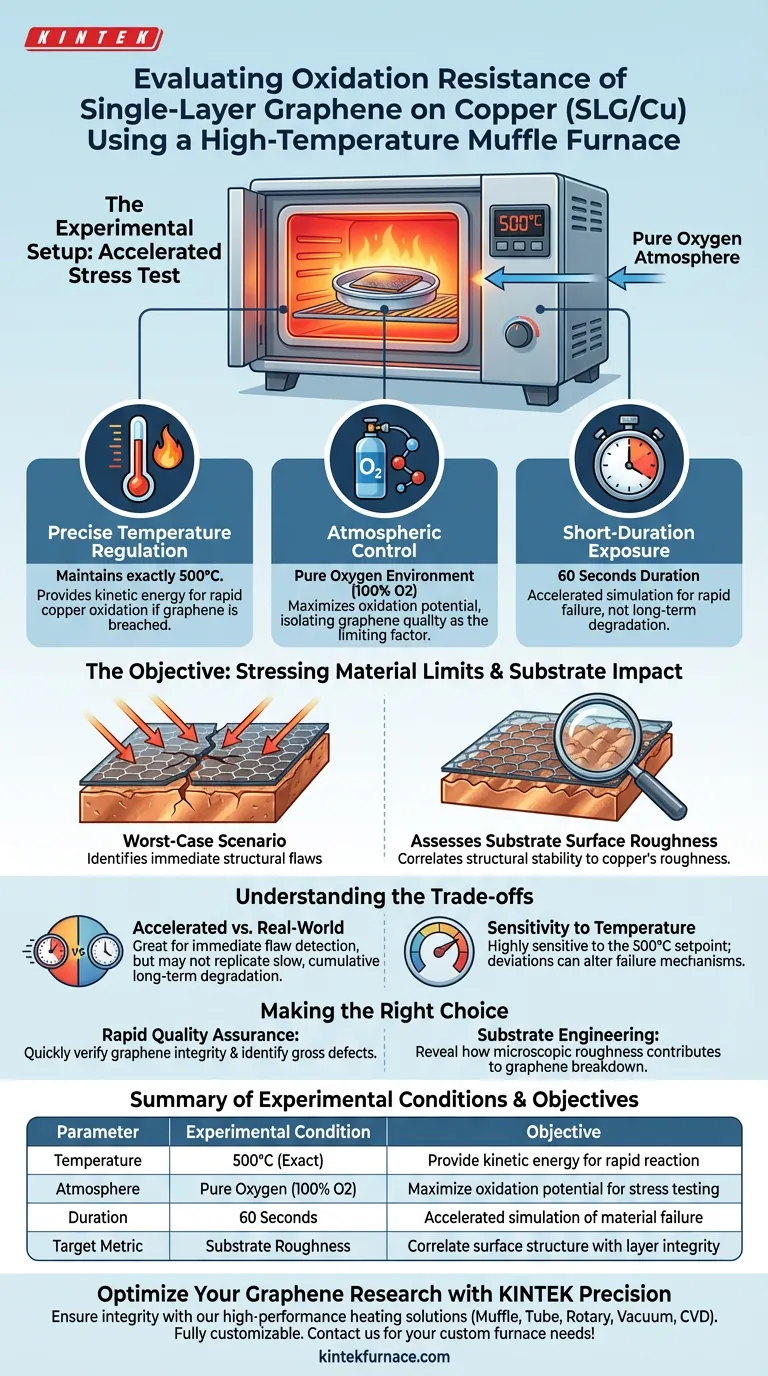马弗炉为SLG/Cu氧化测试提供了什么条件？实现精确石墨烯评估 图解指南