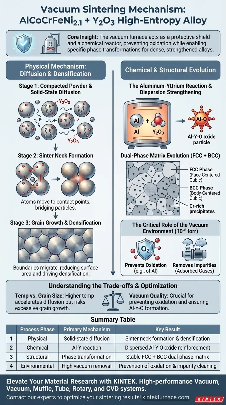 AlCoCrFeNi2.1 + Y2O3 的真空烧结炉机制是什么？优化你的高熵合金加工 图解指南