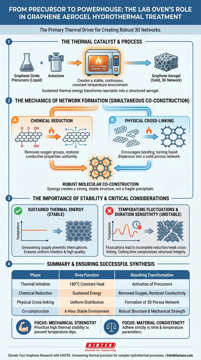 实验室烤箱如何促进石墨烯气凝胶的水热处理？掌握高强度合成 图解指南