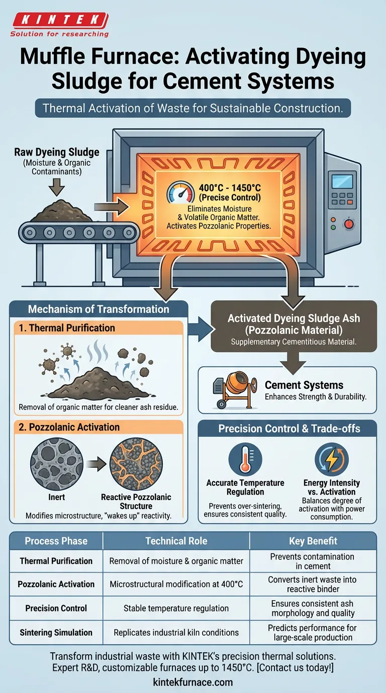 在染色污泥灰烬制备中，马弗炉的技术作用是什么？优化火山灰活化 图解指南