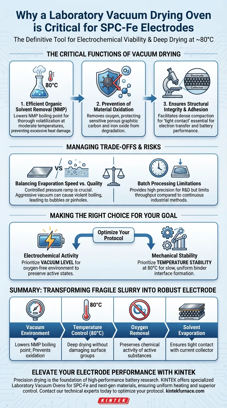 为什么SPC-Fe电极需要实验室真空干燥箱？确保电化学可行性 图解指南