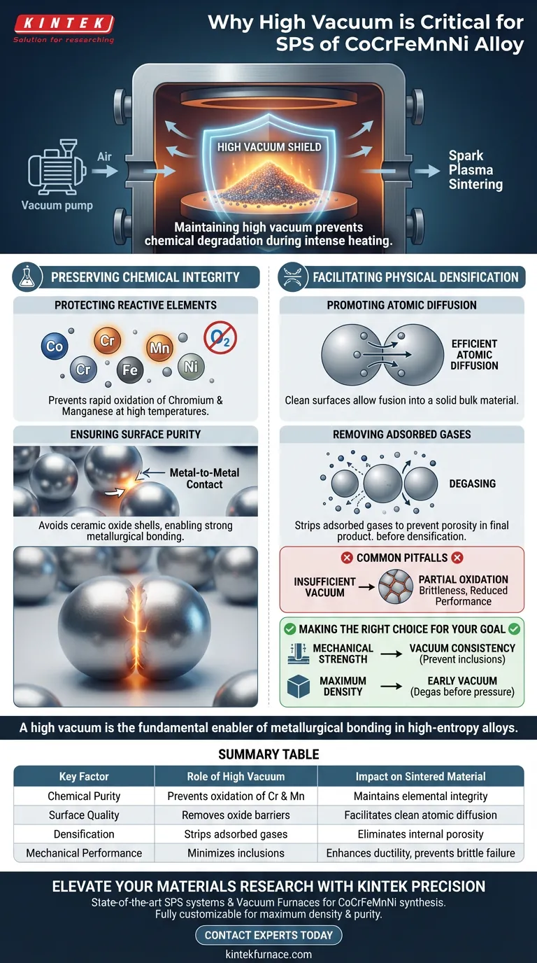 CoCrFeMnNi合金粉末のSPS中に高真空環境が必要なのはなぜですか？純度と密度を確保する ビジュアルガイド