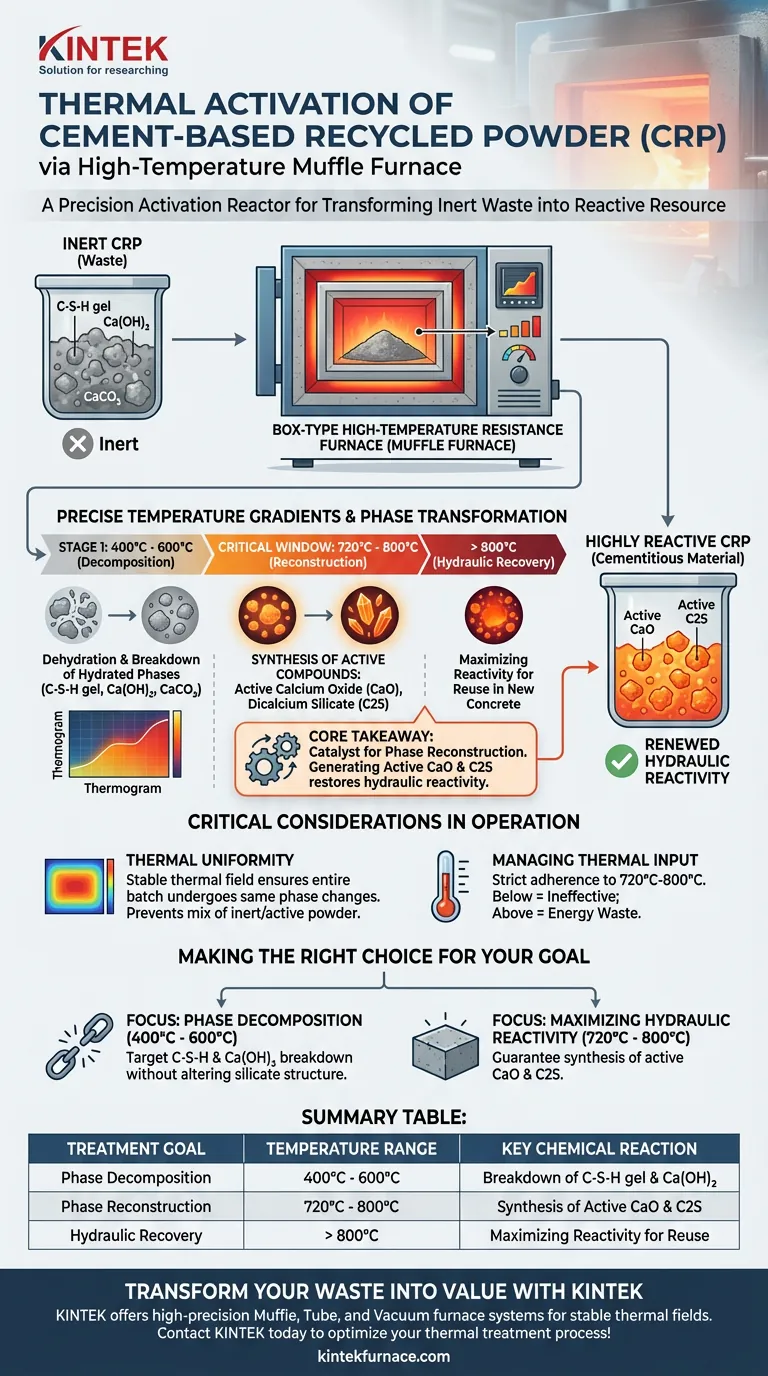 Como um forno mufla contribui para o tratamento térmico do CRP? Desbloqueie Alta Reatividade em Pó Reciclado Guia Visual