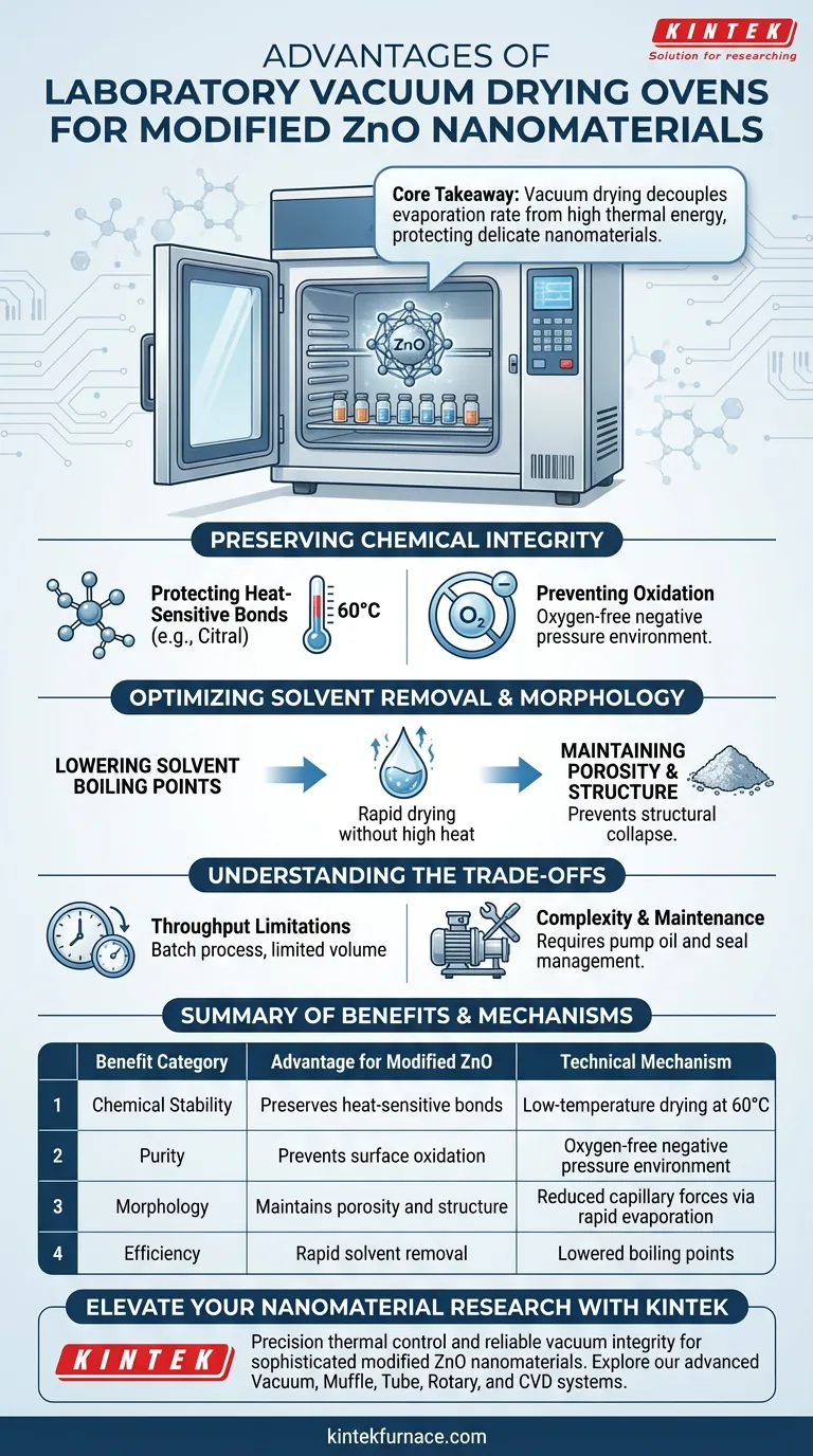 Was sind die Vorteile der Verwendung eines Labor-Vakuumtrockenschranks für modifizierte ZnO-Nanomaterialien? Schutz der Nano-Integrität Visuelle Anleitung