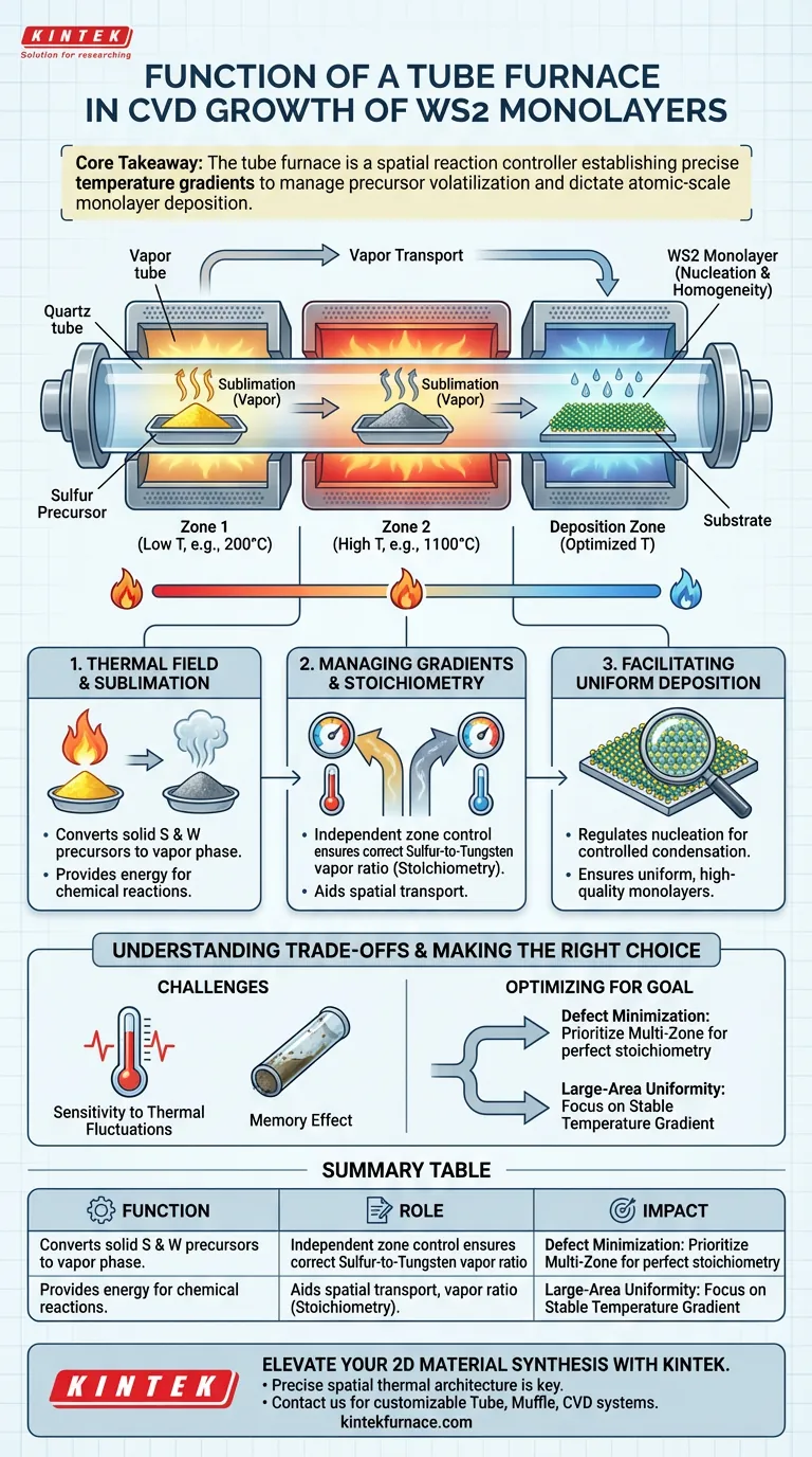WS2単層のCVD成長における管状炉の機能は何ですか？専門家による熱制御ガイド ビジュアルガイド