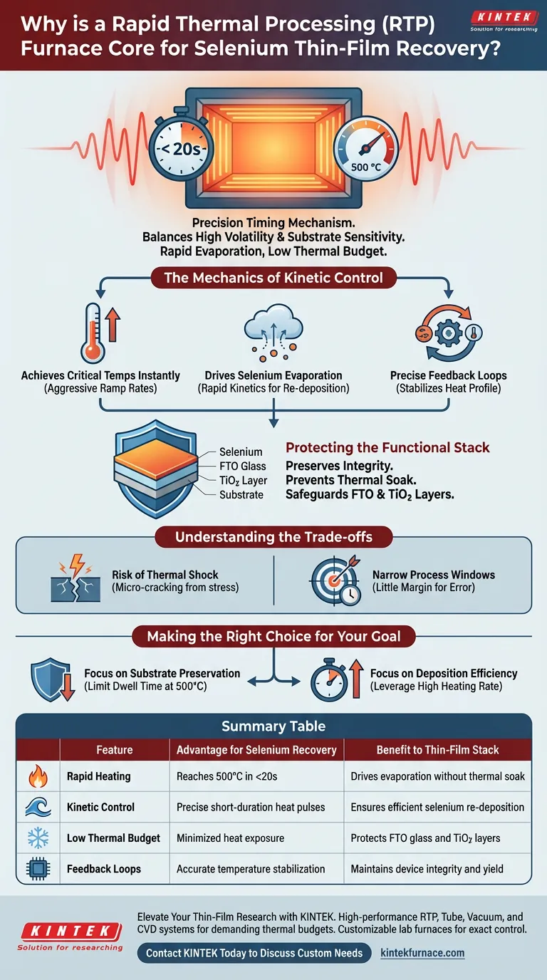 Por que um forno RTP é usado para filmes finos de selênio? Domine a Recuperação de Precisão com Processamento Térmico Rápido Guia Visual