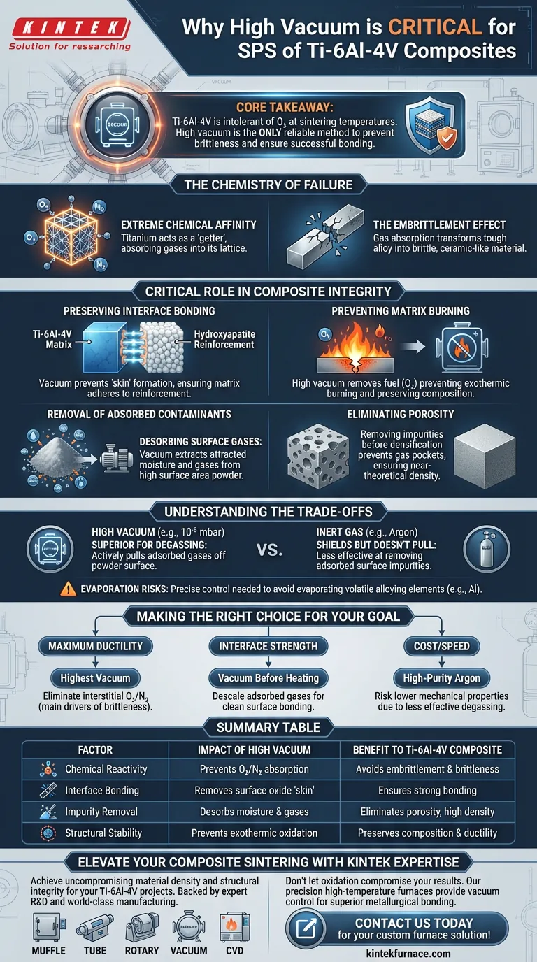 使用SPS烧结Ti-6Al-4V复合材料时，为什么需要高真空系统？确保材料的完整性 图解指南
