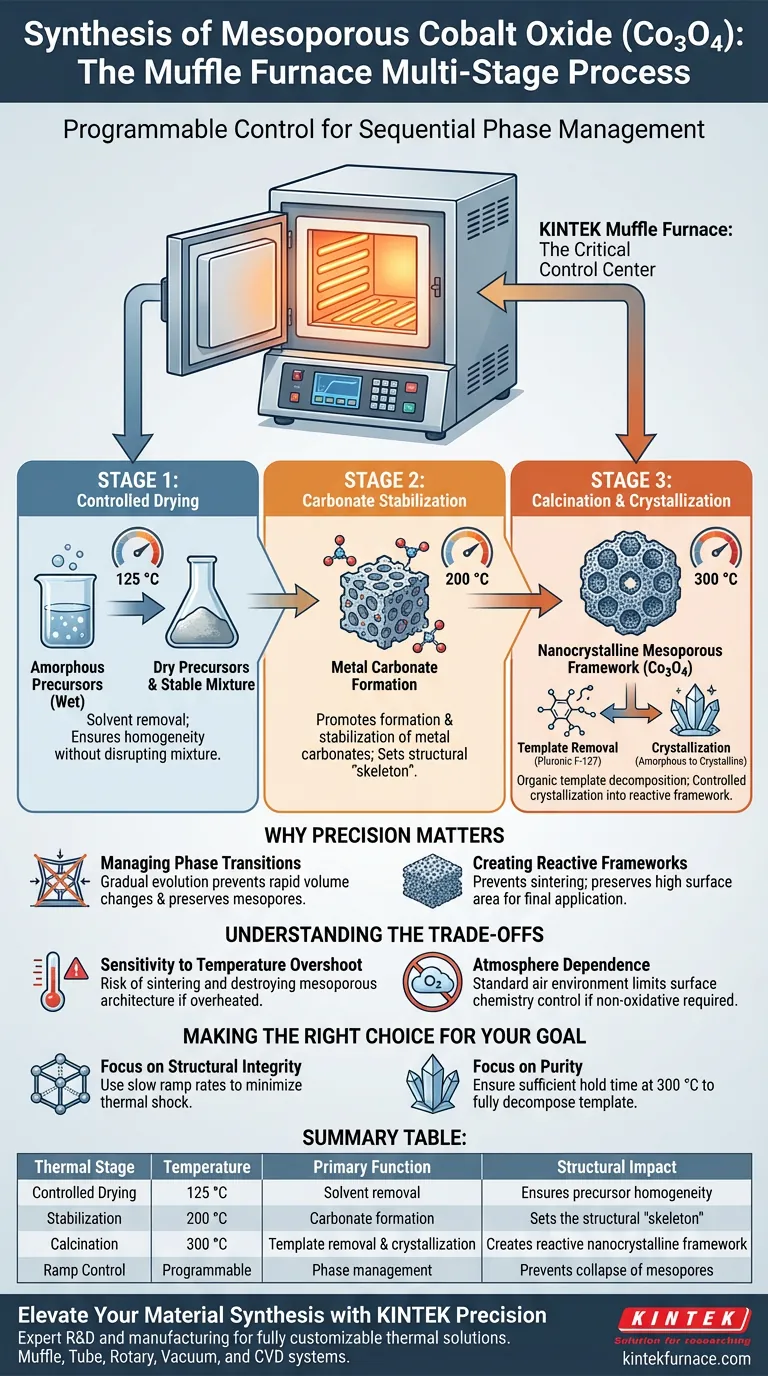 Como um forno mufla de laboratório contribui para o tratamento térmico multiestágio do óxido de cobalto mesoporoso (Co3O4)? Guia Visual