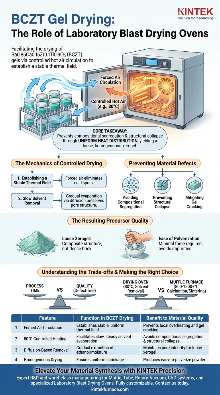 Как лабораторная взрывозащищенная сушильная печь облегчает сушку геля BCZT? Точные решения для высококачественных ксерогелей Визуальное руководство