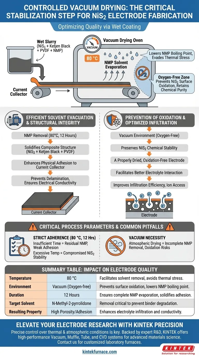 真空烘箱中的干燥条件如何影响NiS2电极质量？优化您的电池性能 图解指南