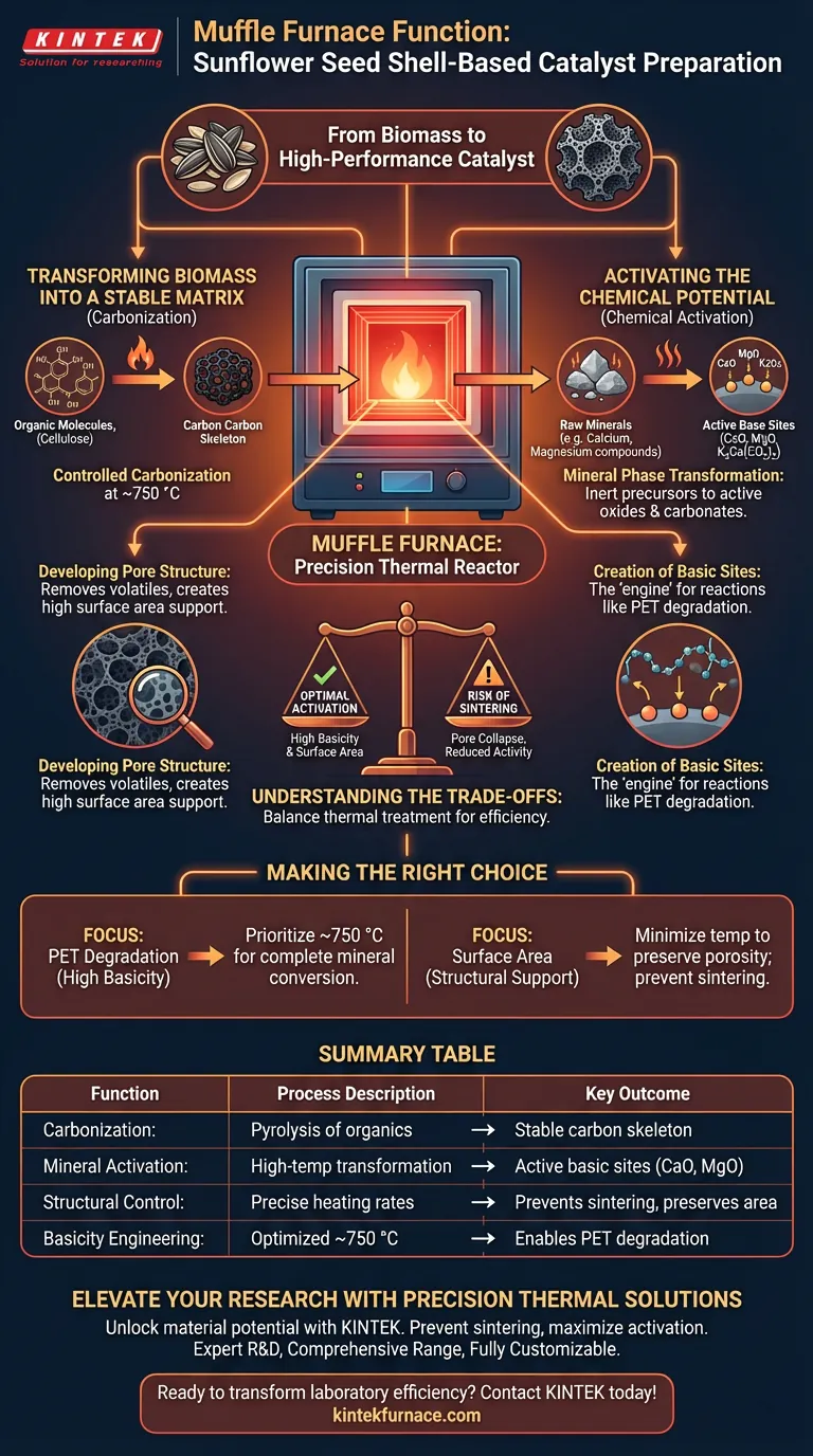 Qual é a função de um forno mufla durante a calcinação de catalisadores? Domine a Transformação de Biomassa em Catalisador Guia Visual