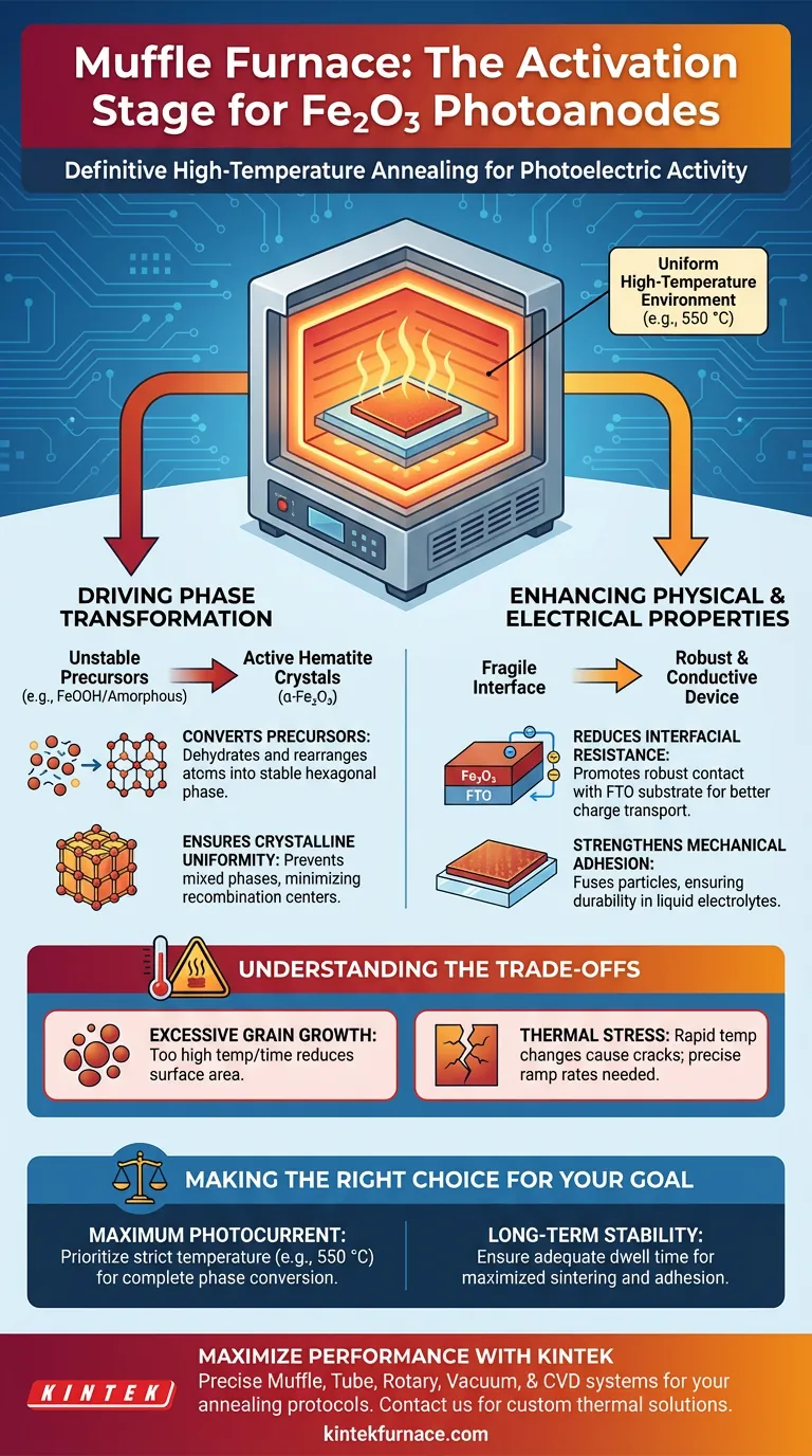 ¿Qué papel juega un horno mufla en el postratamiento de fotocátodos de Fe2O3? Optimizar la Transformación de Fase de la Hematita Guía Visual