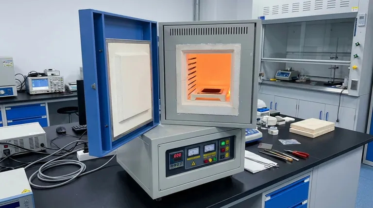 Qual o papel de um forno mufla no pós-tratamento de fotoanodos de Fe2O3? Otimizar a Transformação de Fase da Hematita