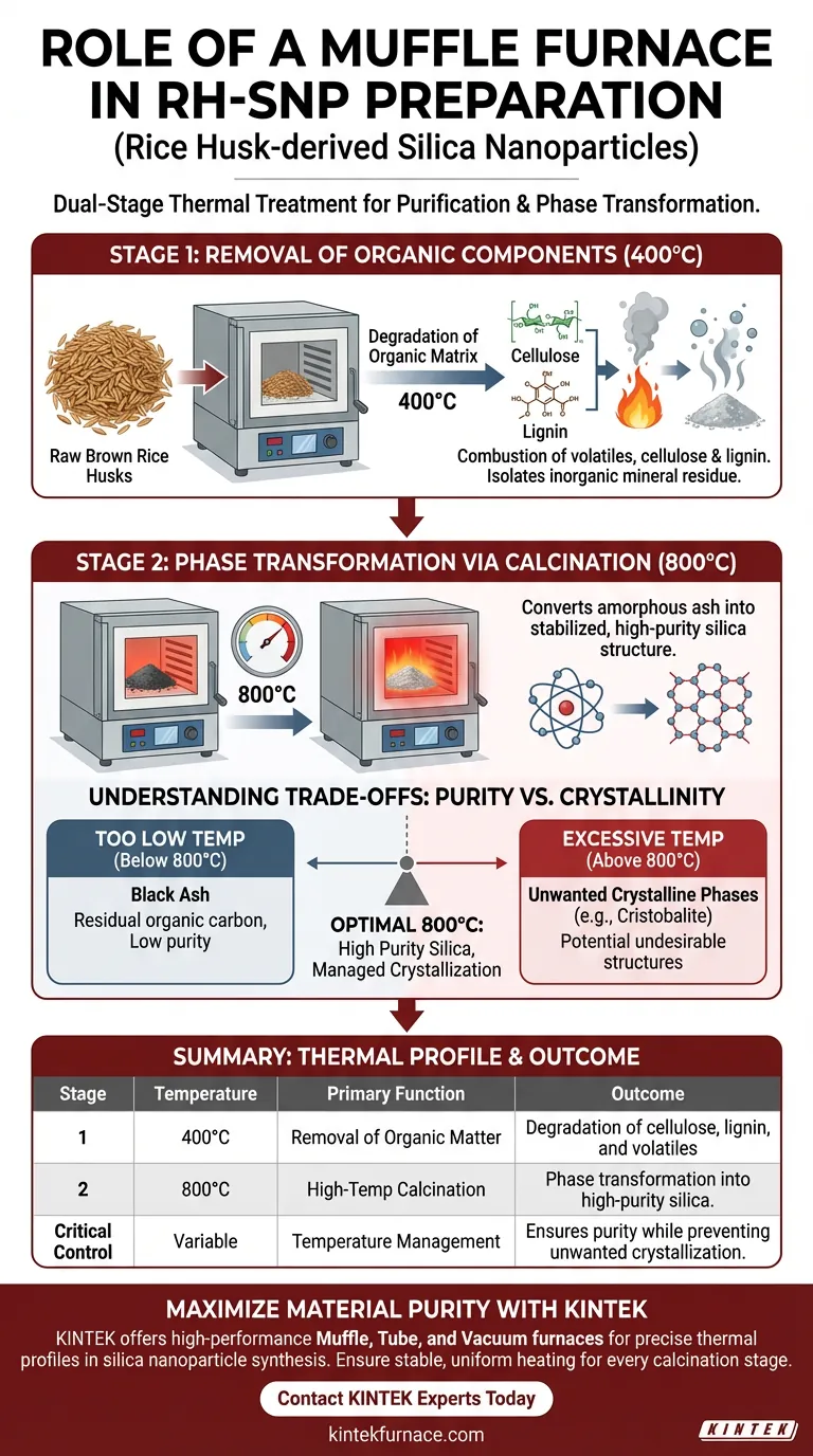 Qual o papel de um forno mufla na preparação de RH-SNP? Domine a Síntese Térmica de Duas Etapas Guia Visual