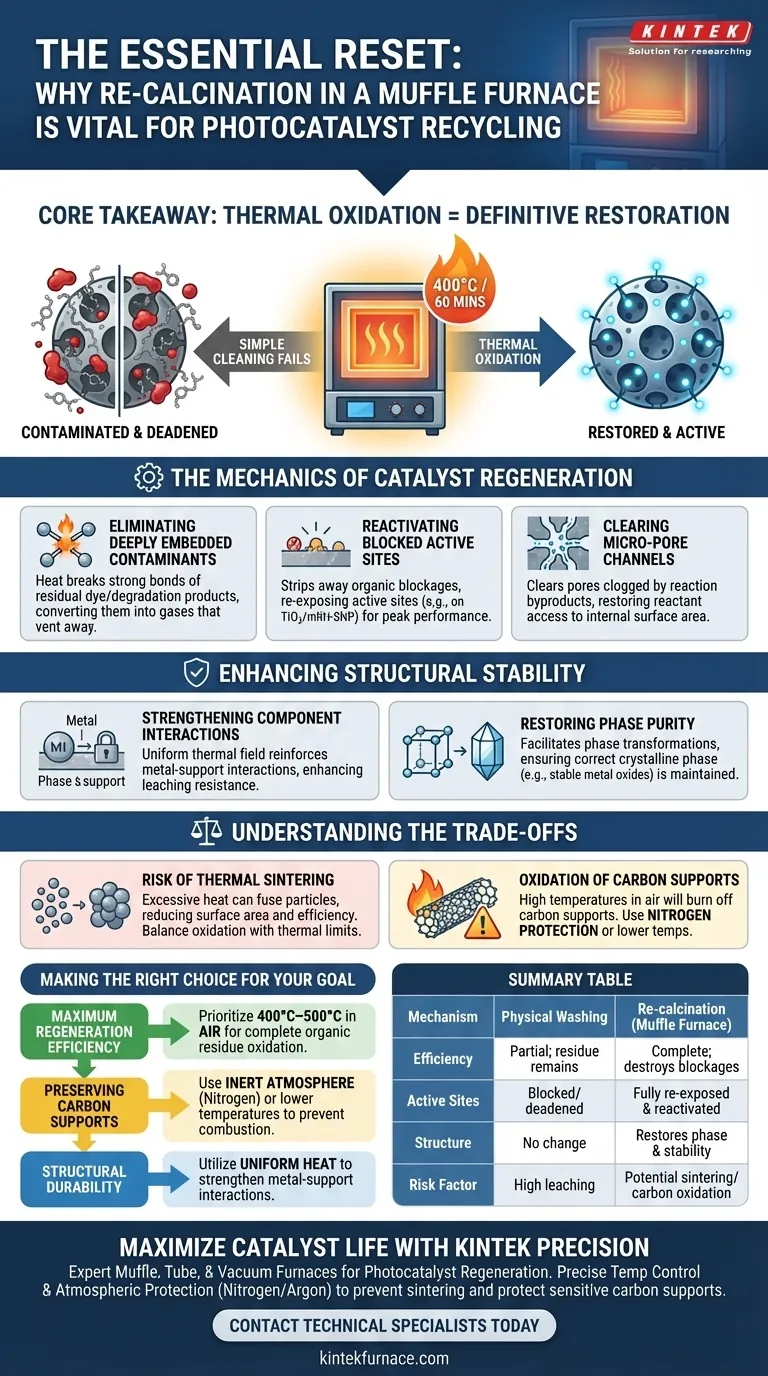Warum ist die Kalzinierung im Muffelofen für Photokatalysatoren notwendig? Wiederherstellung der Effizienz durch thermische Oxidation Visuelle Anleitung
