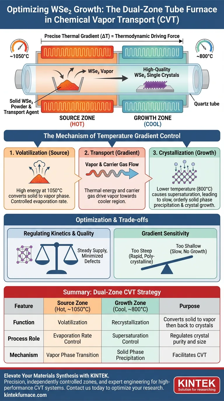 Как горизонтальная двухзонная трубчатая печь способствует росту WSe2 методом CVT? Точный контроль температурного градиента Визуальное руководство