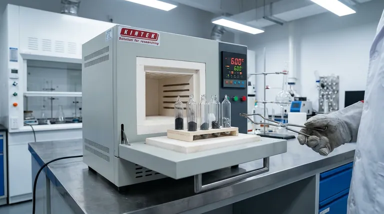 Perché viene utilizzato un forno a muffola di precisione per il riscaldamento a gradiente durante la sintesi del diseleniuro di tungsteno drogato (WSe2)?