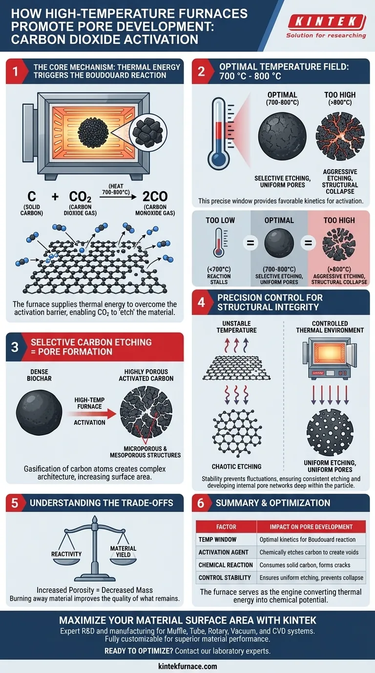 Wie fördert das von einem Hochtemperatur-Reaktionsrohrofen bereitgestellte Temperaturfeld die Porenentwicklung? 700-800°C Beherrschung Visuelle Anleitung