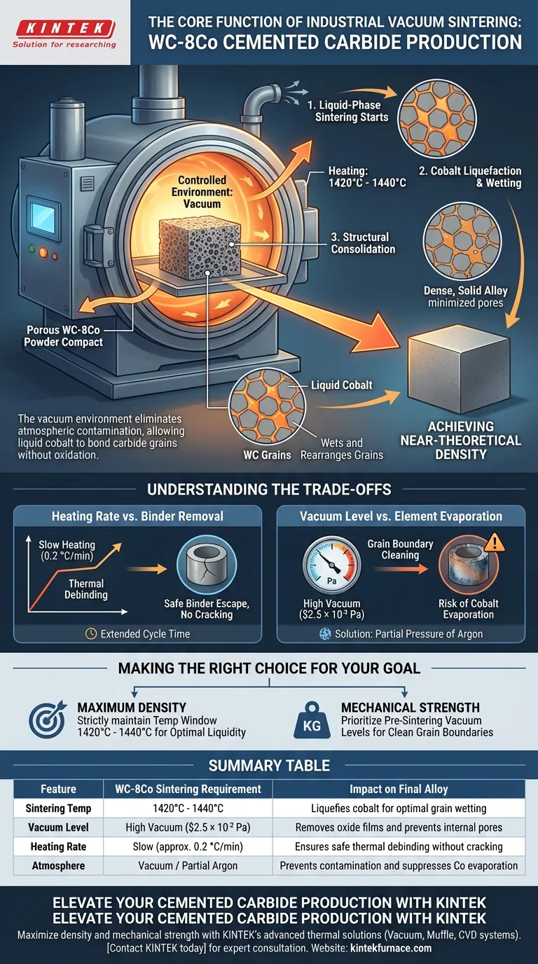 在硬质合金（WC-8Co）生产中，工业真空烧结炉的核心功能是什么？达到峰值密度。 图解指南