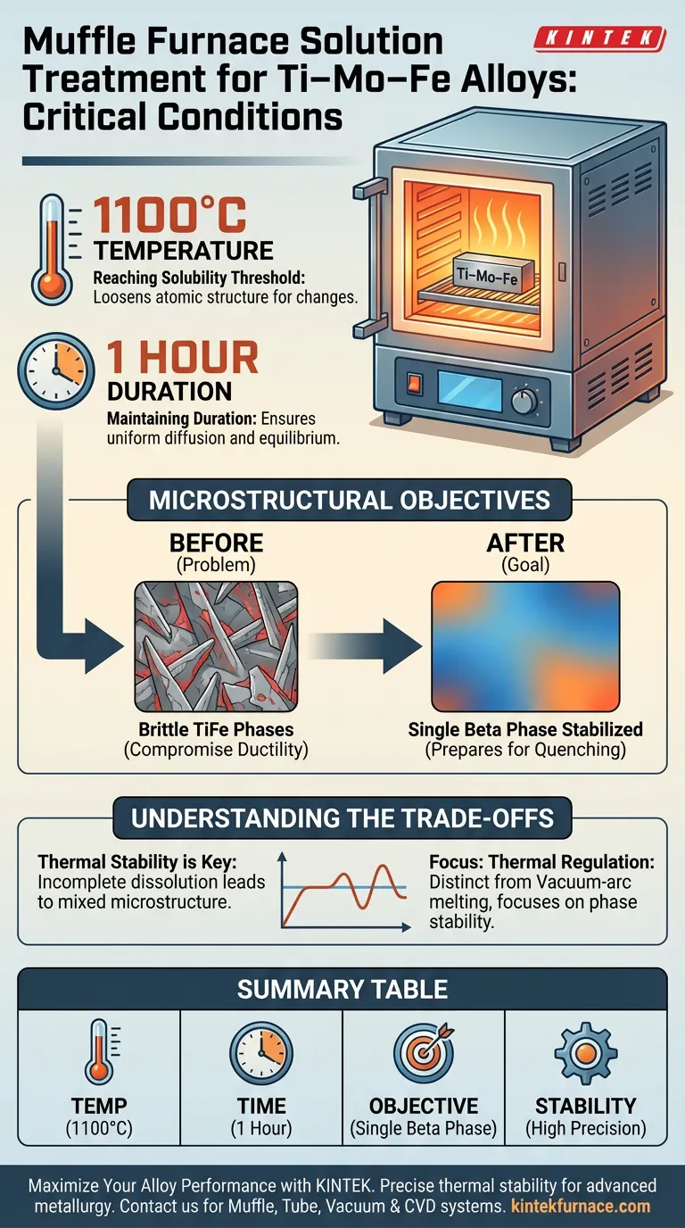 马弗炉为 Ti–Mo–Fe 合金提供了什么条件？解锁材料峰值延展性 图解指南