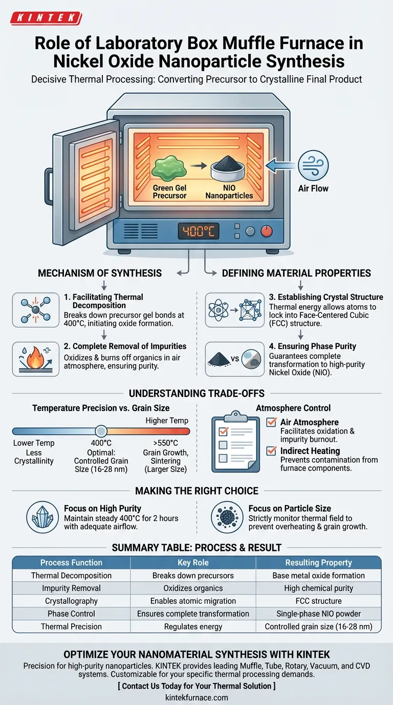 实验室箱式马弗炉在氧化镍纳米颗粒的合成中起什么作用？专家见解 图解指南
