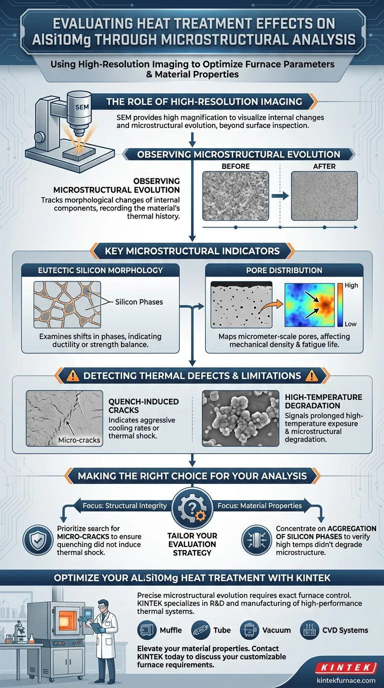 ¿Cómo se evalúan los efectos de los parámetros del horno de tratamiento térmico en AlSi10Mg? Análisis de la microestructura maestra Guía Visual