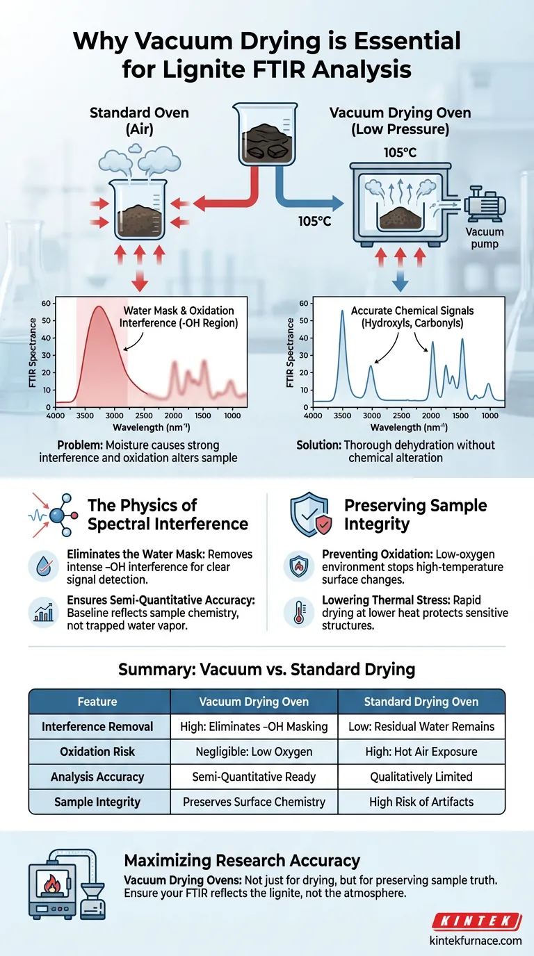 为什么FTIR测试褐煤需要真空干燥箱？确保样品脱水精度 图解指南