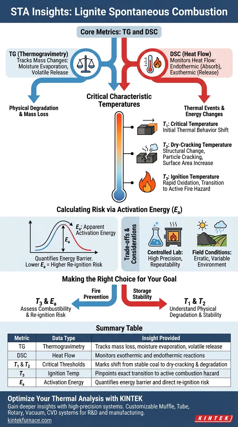 Quali dati chiave fornisce un analizzatore termico simultaneo (STA) per la combustione della lignite? Valuta il rischio di incendio con precisione Guida Visiva