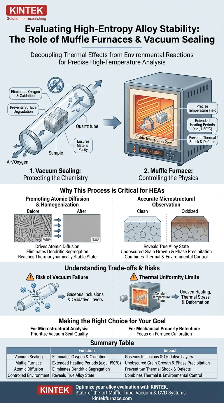 고엔트로피 합금 평가에 머플로와 진공 밀봉 기술은 어떻게 적용됩니까? 전문가 안정성 가이드 시각적 가이드