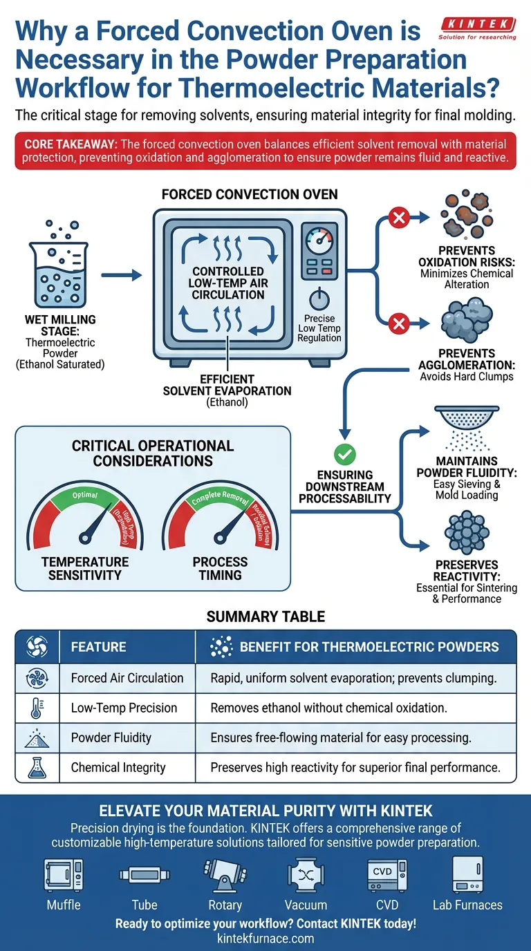 为什么在粉末制备工作流程中需要强制对流烘箱？优化您的热电材料 图解指南