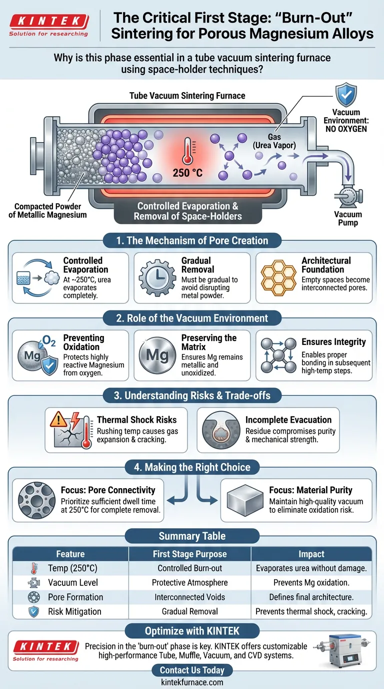 为什么管式真空烧结炉的第一阶段烧结是必要的？掌握空间保持剂技术 图解指南