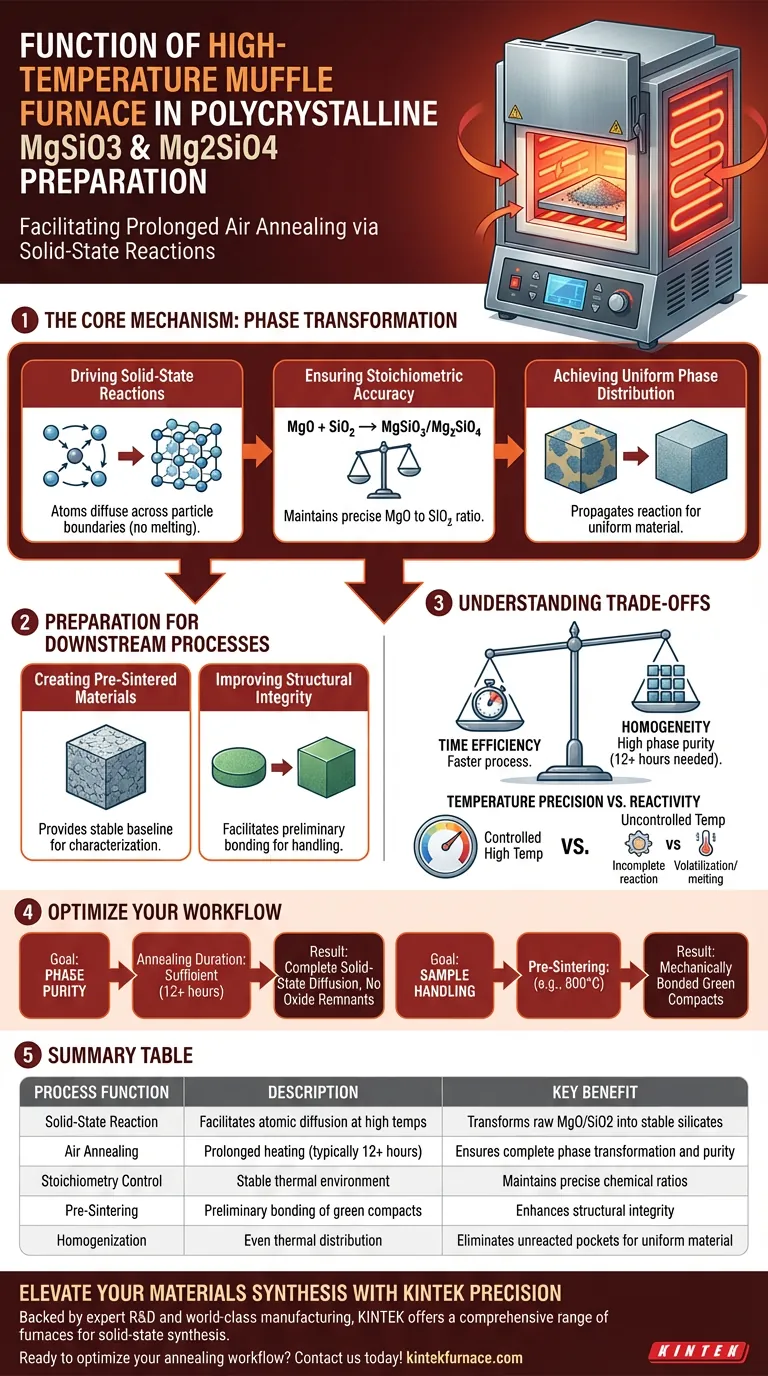 ¿Cuál es la función de un horno mufla de alta temperatura? Síntesis maestra de MgSiO3 y Mg2SiO4 policristalinos Guía Visual
