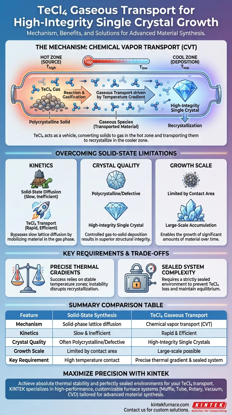 Qual é o mecanismo de uso do TeCl4 como agente de transporte gasoso? Cultive cristais únicos de alta integridade com facilidade Guia Visual