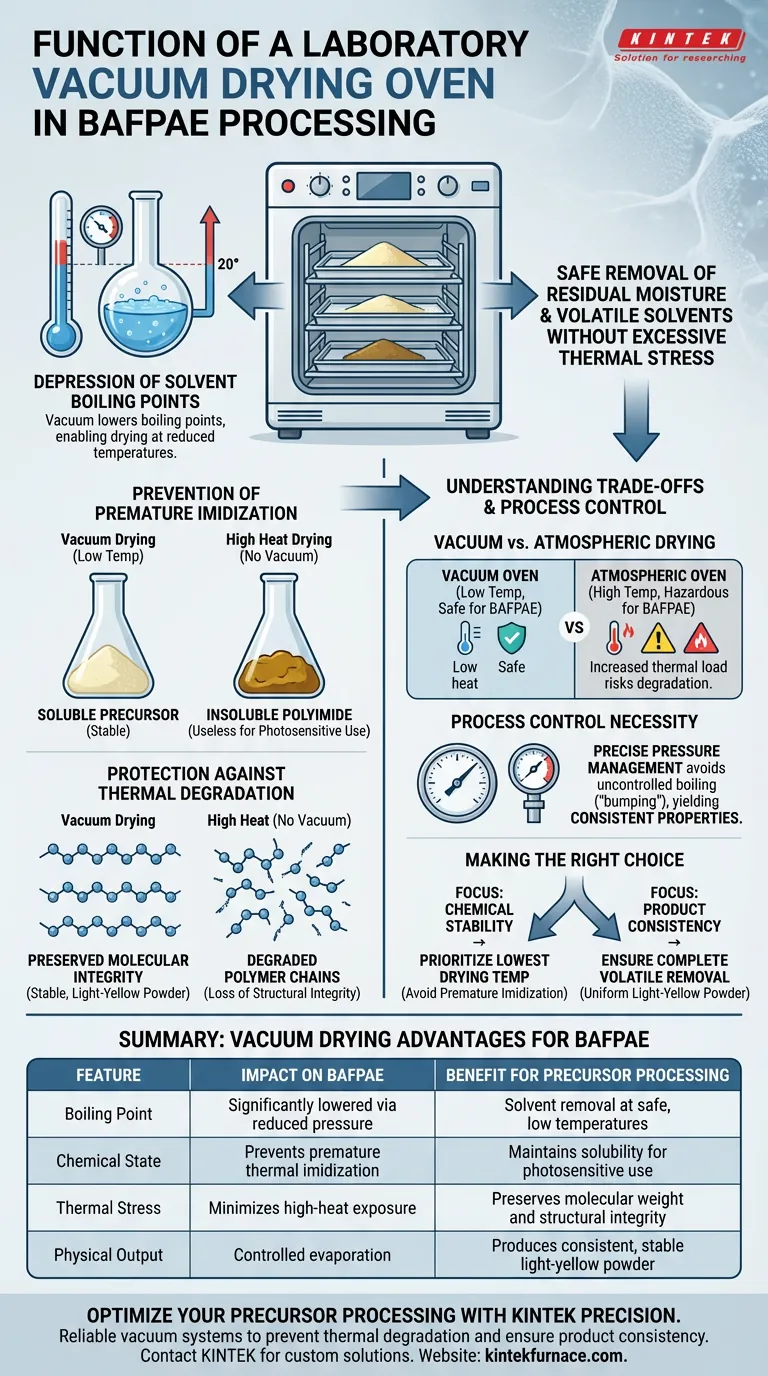 What is the function of a laboratory vacuum drying oven in BAFPAE processing? Maintain Precursor Purity and Stability Visual Guide