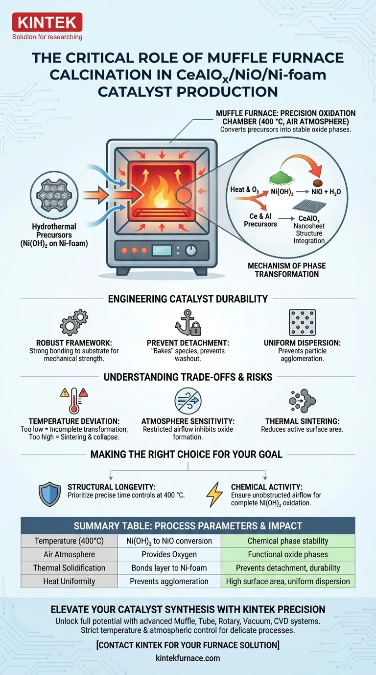 在 CeAlOx/NiO/Ni-泡沫催化剂生产中，马弗炉的作用是什么？精控煅烧 图解指南