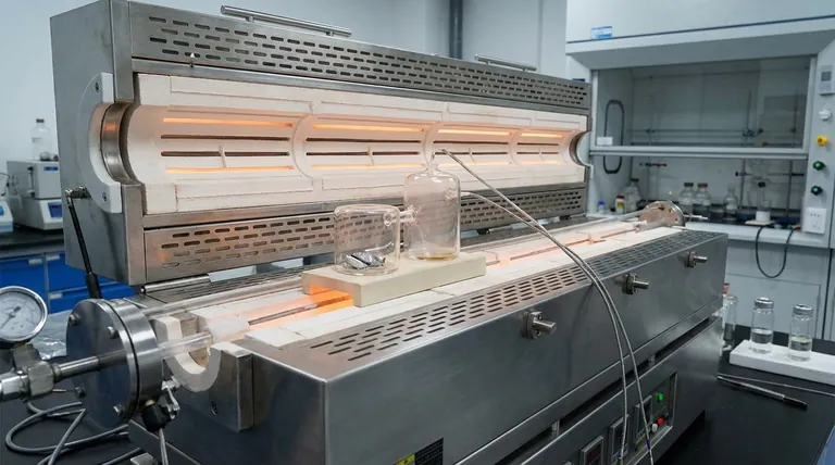 이중 챔버 석영 유리 용기의 구조적 기능은 무엇입니까? 마그네슘 합금 증기 분석 최적화