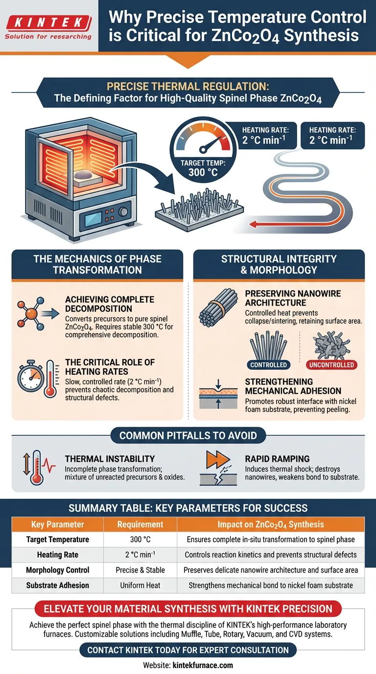 Perché la precisione del controllo della temperatura di una fornace a muffola a scatola è fondamentale nella conversione dei precursori in ZnCo2O4? Guida Visiva