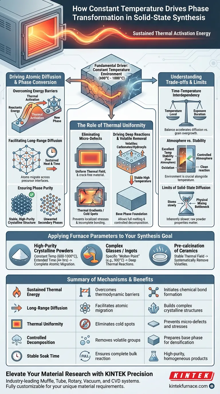 How does the constant temperature environment of a box high-temperature furnace contribute to phase transformation? Visual Guide